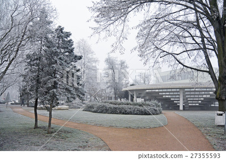 Branches covered hoar-frost in the park a winters Branches covered hoar-frost in the park a winters 27355593