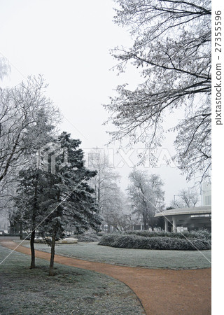 Branches covered hoar-frost in the park a winters Branches covered hoar-frost in the park a winters 27355596