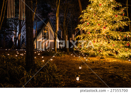 Karuizawa Christmas Illumination 27355700
