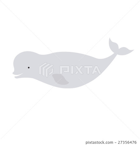 Vector beautiful beluga polar dolphin white whale 27356476