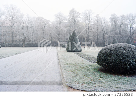 Branches covered hoar-frost in the park a winter Branches covered hoar-frost in the park a winter 27356528
