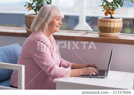 Experienced businesswoman doing her job Experienced businesswoman doing her job 27357608