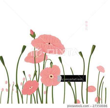Poppy flower, symbolizes consolation and fertility 27358086