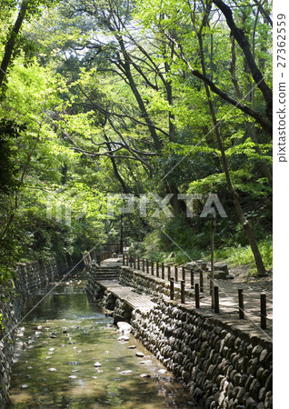 Todoroki山谷 Todoroki山谷 27362559