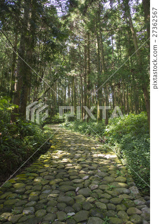 Cobbled on the Tokaido Kanayazaka 27362567