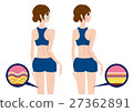 Illustration to compare the state of cellulite Illustration to compare the state of cellulite 27362891