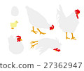 Illustration set of white chicken Illustration set of white chicken 27362947