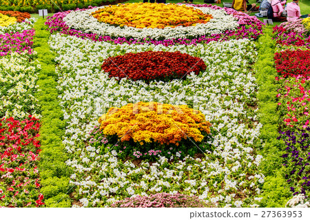 Colorful rows of spring  flowers 27363953