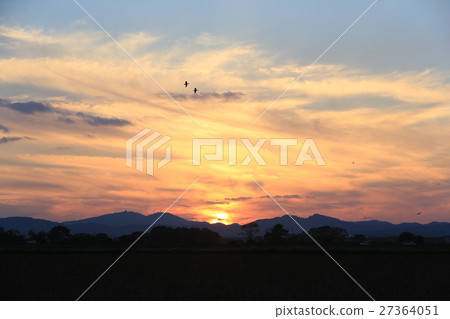 Evening scenery of lonely 27364051