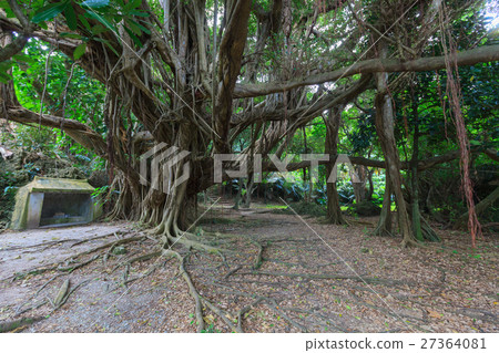 The Utaki of the East Syngudoo The Utaki of the East Syngudoo 27364081