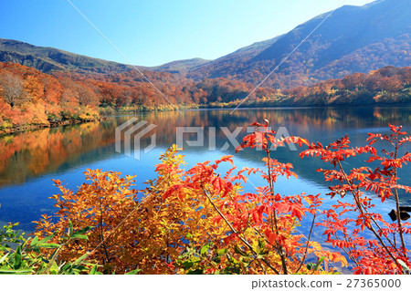 Suegawa湖02秋葉 27365000
