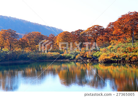 Autumn leaves of Suegawa Lake 03 27365005