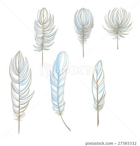 Set with hand drawn feathers Set with hand drawn feathers 27365332