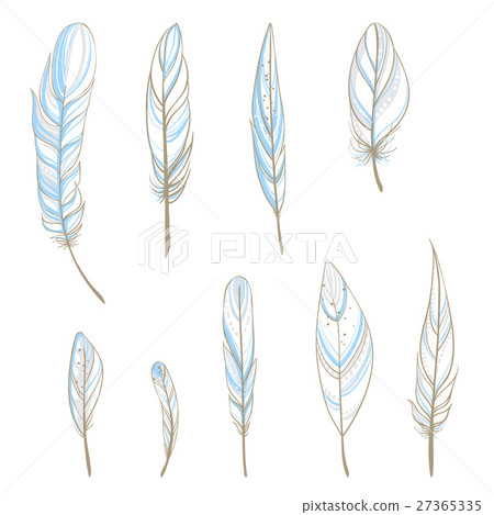 Set with hand drawn feathers Set with hand drawn feathers 27365335