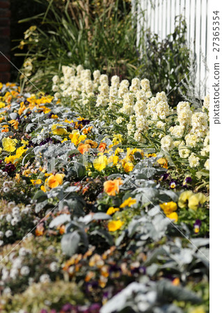 Winter flower bed 27365354