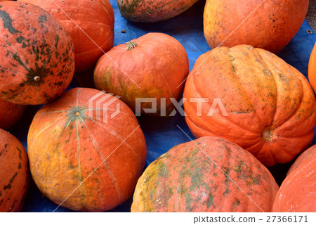Pumpkin 27366171