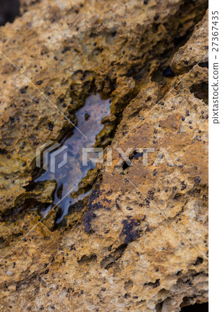 closeup stone with puddle from atlantic coastline 27367435