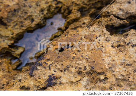 closeup stone with puddle from atlantic coastline 27367436
