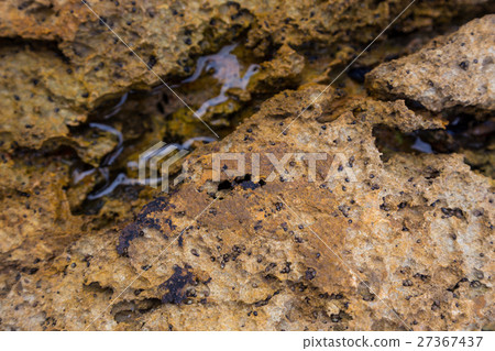 closeup stone with puddle from atlantic coastline closeup stone with puddle from atlantic coastline 27367437