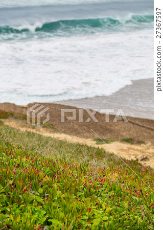 coastline with stones, plants surfs in cloudy day coastline with stones, plants surfs in cloudy day 27367597