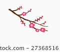 Plum branches and flowers 27368516