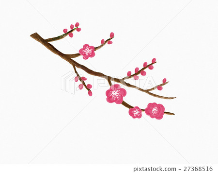 Plum branches and flowers 27368516