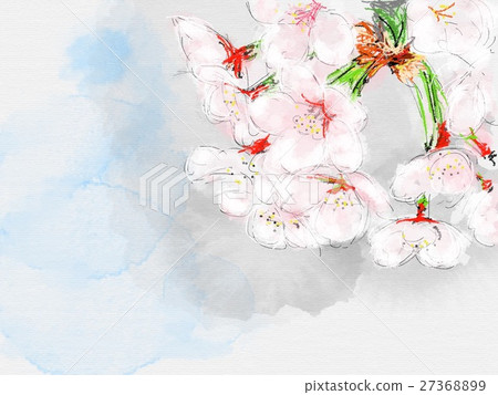 Full bloom illustration Full bloom illustration 27368899