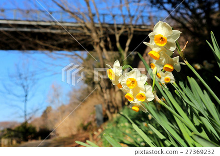 位於千葉縣船橋的船橋安徒生公園(1月)船橋的Nihonseizen 位於千葉縣船橋的船橋安徒生公園(1月)船橋的Nihonseizen 27369232
