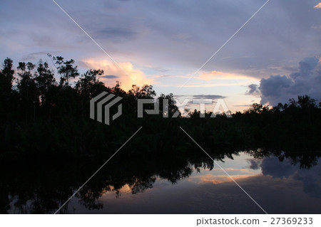 Evening landscape of the Kalimantan river 27369233