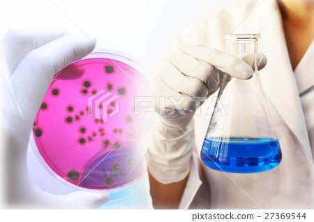 Research image Microbiology 27369544