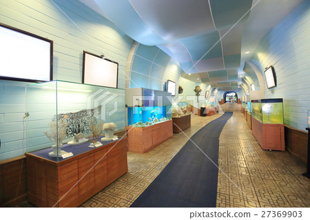 National Oceanography Museum (Vietnam · Nha Trang) National Oceanography Museum (Vietnam · Nha Trang) 27369903