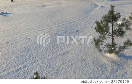 Snow blanket Snow blanket 27370109