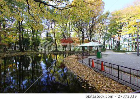 Wild bird forest of Tsukayama Park 27372339
