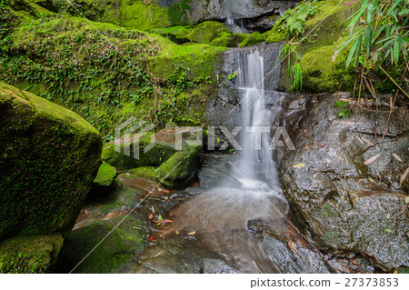 Sai Tip waterfall Sai Tip waterfall 27373853