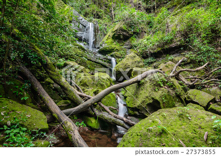 Sai Tip waterfall Sai Tip waterfall 27373855