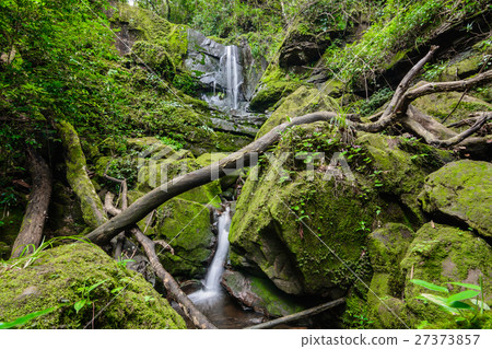 Sai Tip waterfall 27373857