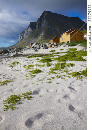 Beach on Lofoten Beach on Lofoten 27374971