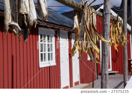 Dried stockfish Dried stockfish 27375235