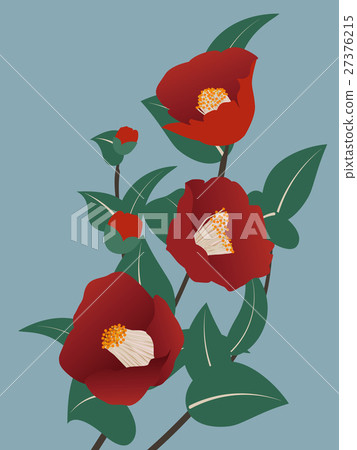 Cold camellia Cold camellia 27376215