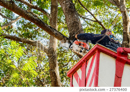 man cutting trees using an electrical chainsaw  27376400