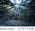 Uplifting 27377106