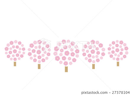 排櫻桃樹 27378104