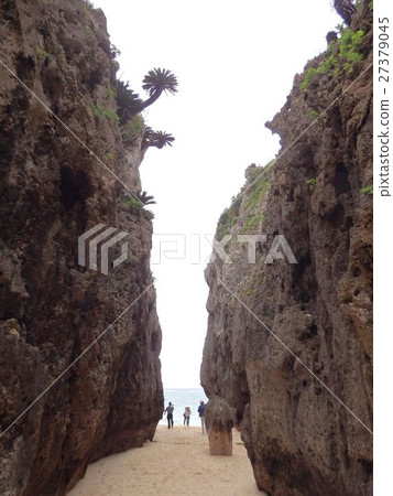 Bise,沖繩本島“Walmi”的亮點 Bise,沖繩本島“Walmi”的亮點 27379045