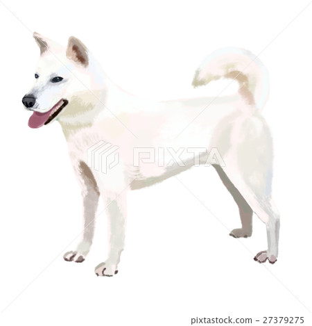 is the kishu legal in sweden