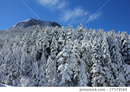 At Yatsugatake in winter 27379569