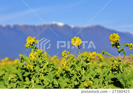 琵琶湖在早春 琵琶湖在早春 27380425