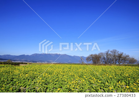 Lake Biwa at early spring 27380433