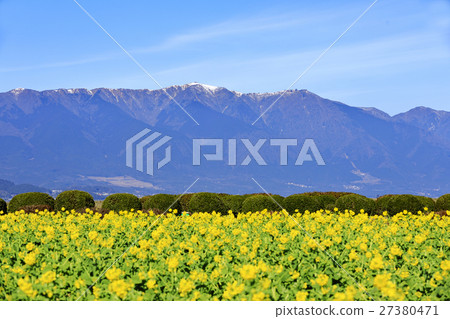 琵琶湖在早春 27380471