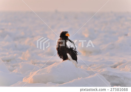 鄂霍次克的黎明 鄂霍次克的黎明 27381088