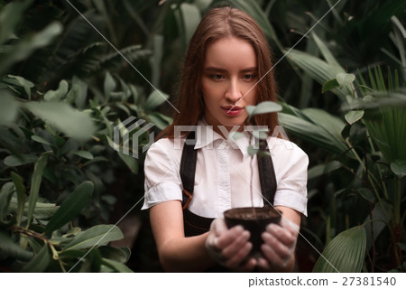 Female florist work with houseplant in pot 27381540